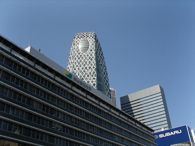SNV10128.jpg